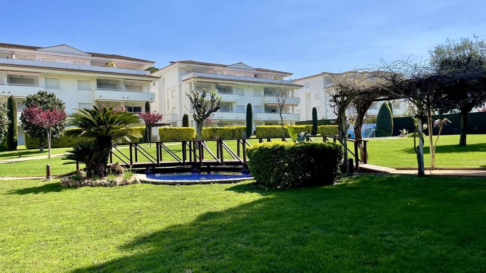 Patio, Garden, Garden view