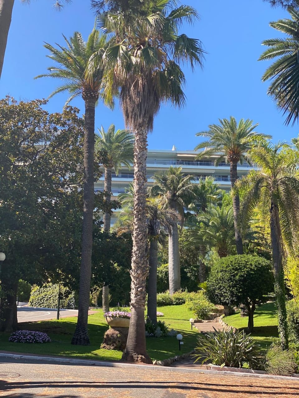 FRONT DE MER PANORAMIQUE Super Cannes Apartment in Cannes