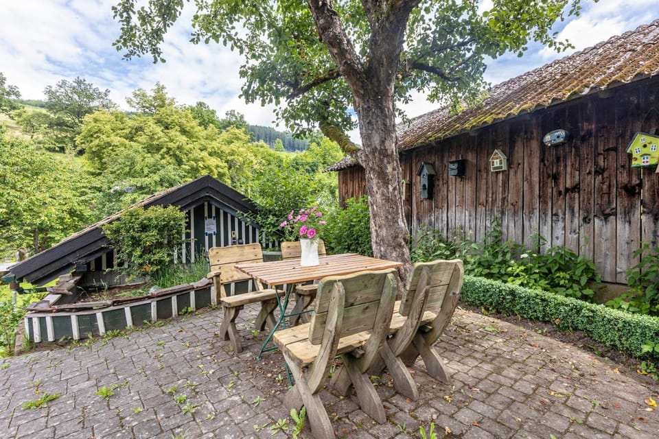 Ferienhof Pohl-Optimal für Familien Apartment in Schmallenberg