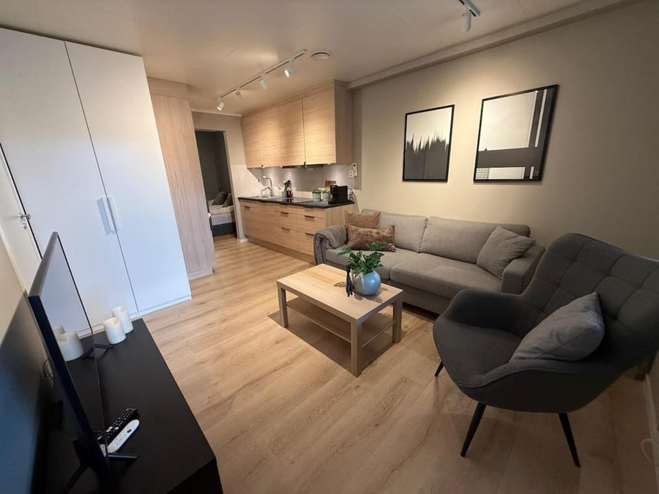 One bedroom apartment in Eidkjosen Apartment in Troms Og Finnmark
