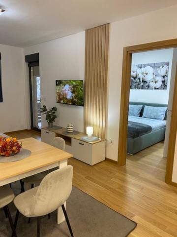 BN035 Apartman Apartment in Zlatibor