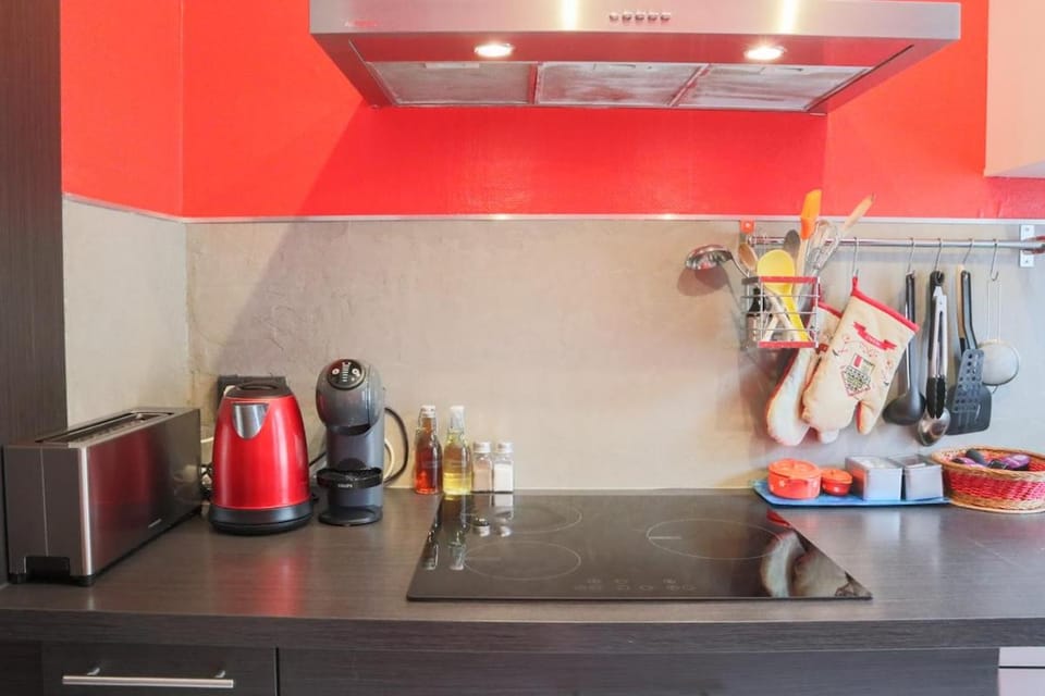 TERRACOTTA Duplex, 8 guest, Garage included Apartment in Mulhouse