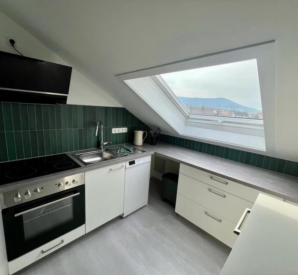 Kitchen or kitchenette, dishwasher, stove