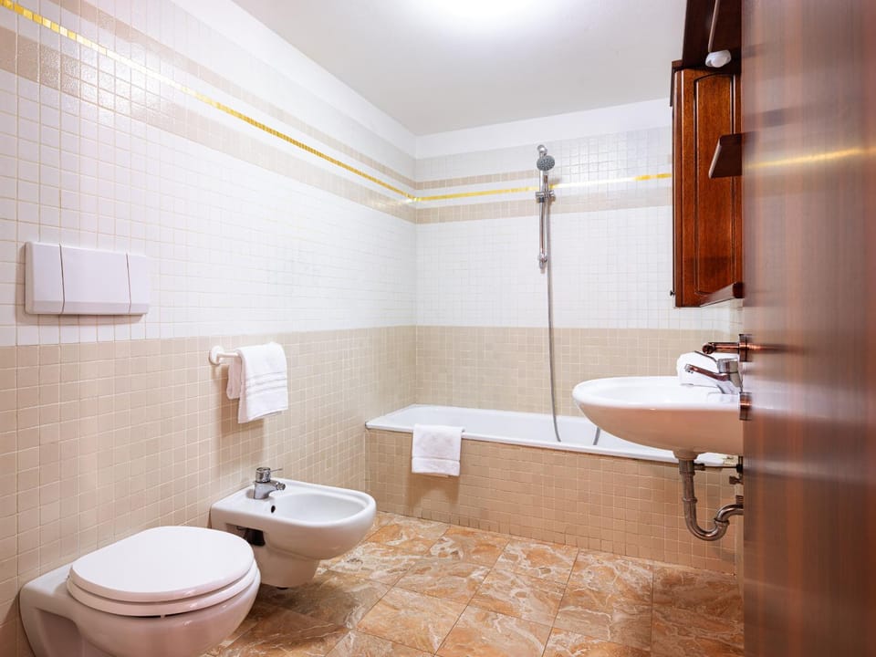 Toilet, Bathroom, Bath, bidet, towels