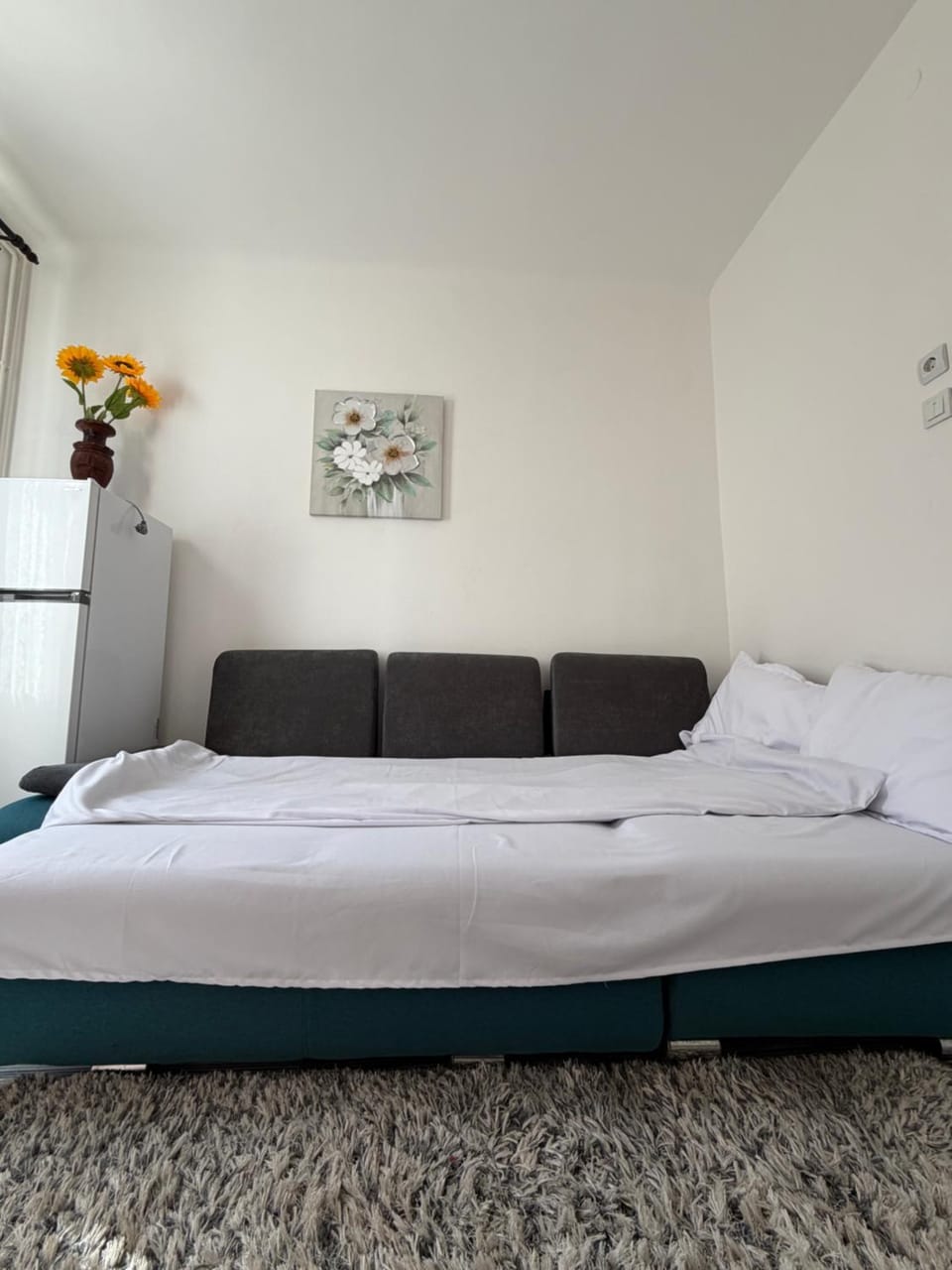 Middle House Apartment in Brasov