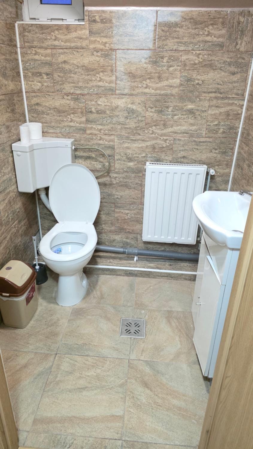 Toilet