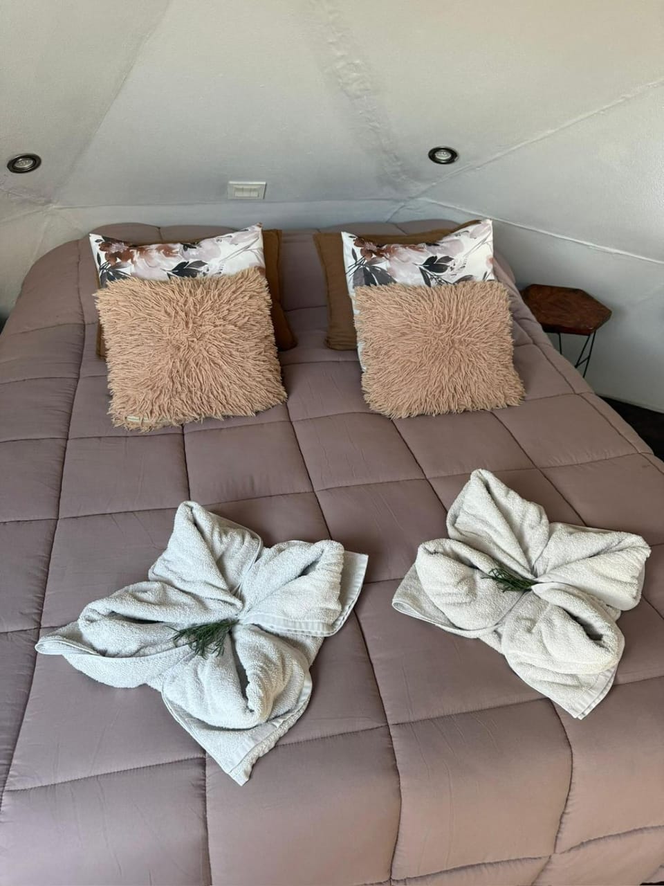 SI VIAJE Domos & Glamping Campground/ 
RV Resort in Tanti