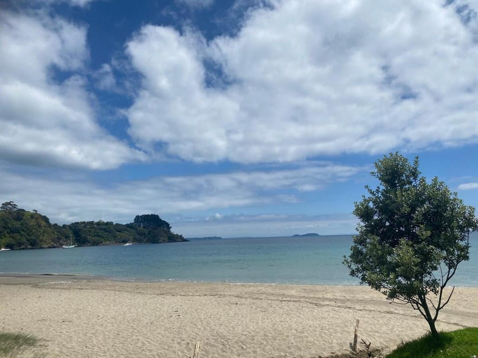 Stay on a cottage in a vineyard on Waiheke Island House in Auckland Region