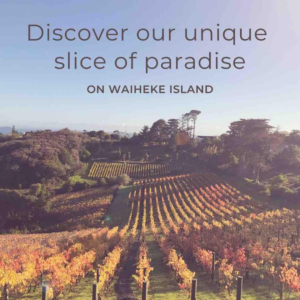 Stay on a cottage in a vineyard on Waiheke Island House in Auckland Region