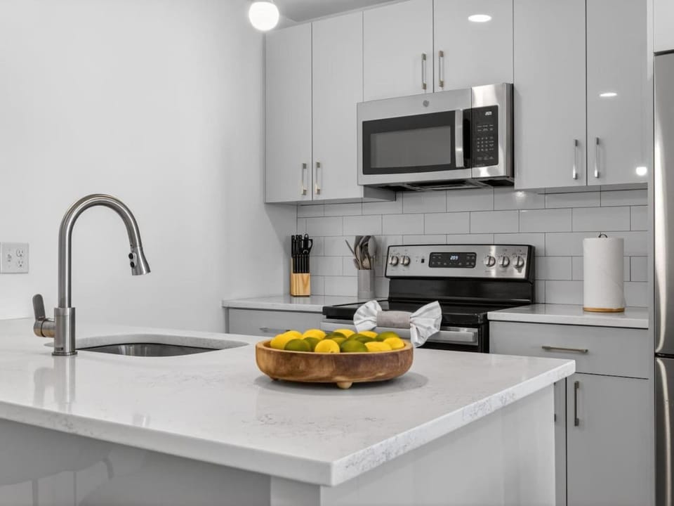 Luxe 3BD allston Apartment in Allston