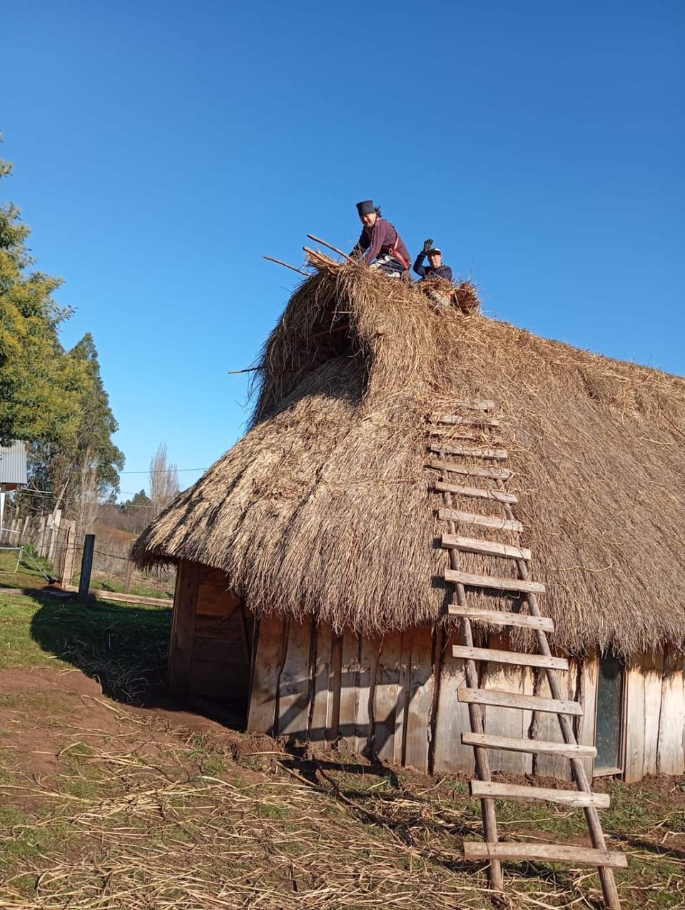 Ruka cabaña - Alojamiento Tradicional Mapuche Nature lodge in Araucania, Chile