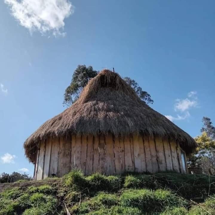 Ruka cabaña - Alojamiento Tradicional Mapuche Nature lodge in Araucania, Chile