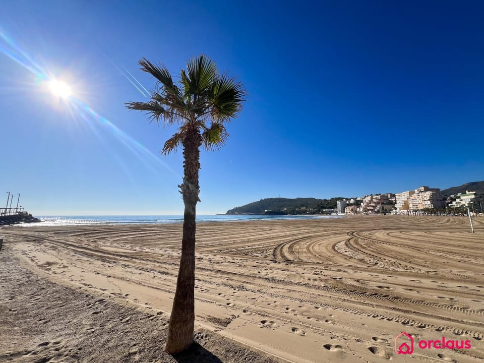 Habana Paradise Apartment in Oropesa del Mar