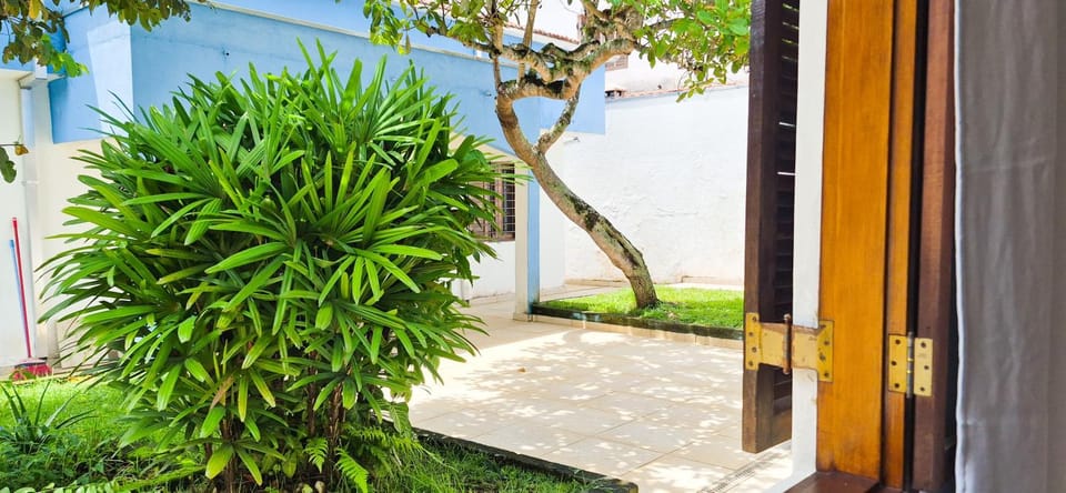 Garden, Garden view, Inner courtyard view