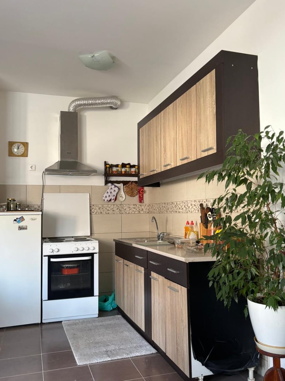 Lana Apartment in Dubrovnik-Neretva County