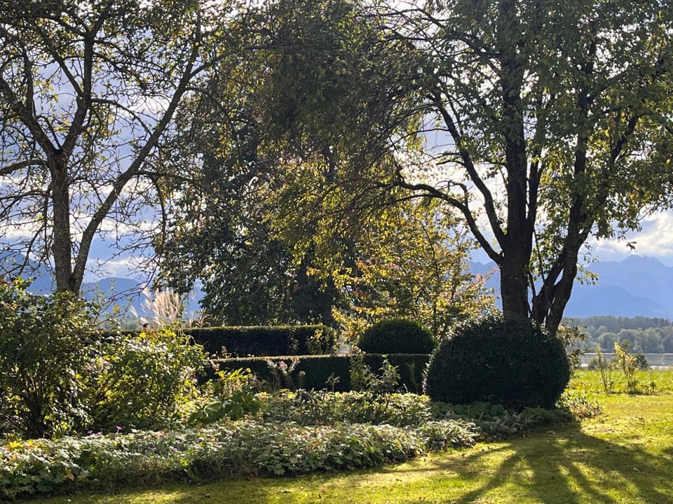 Garden view