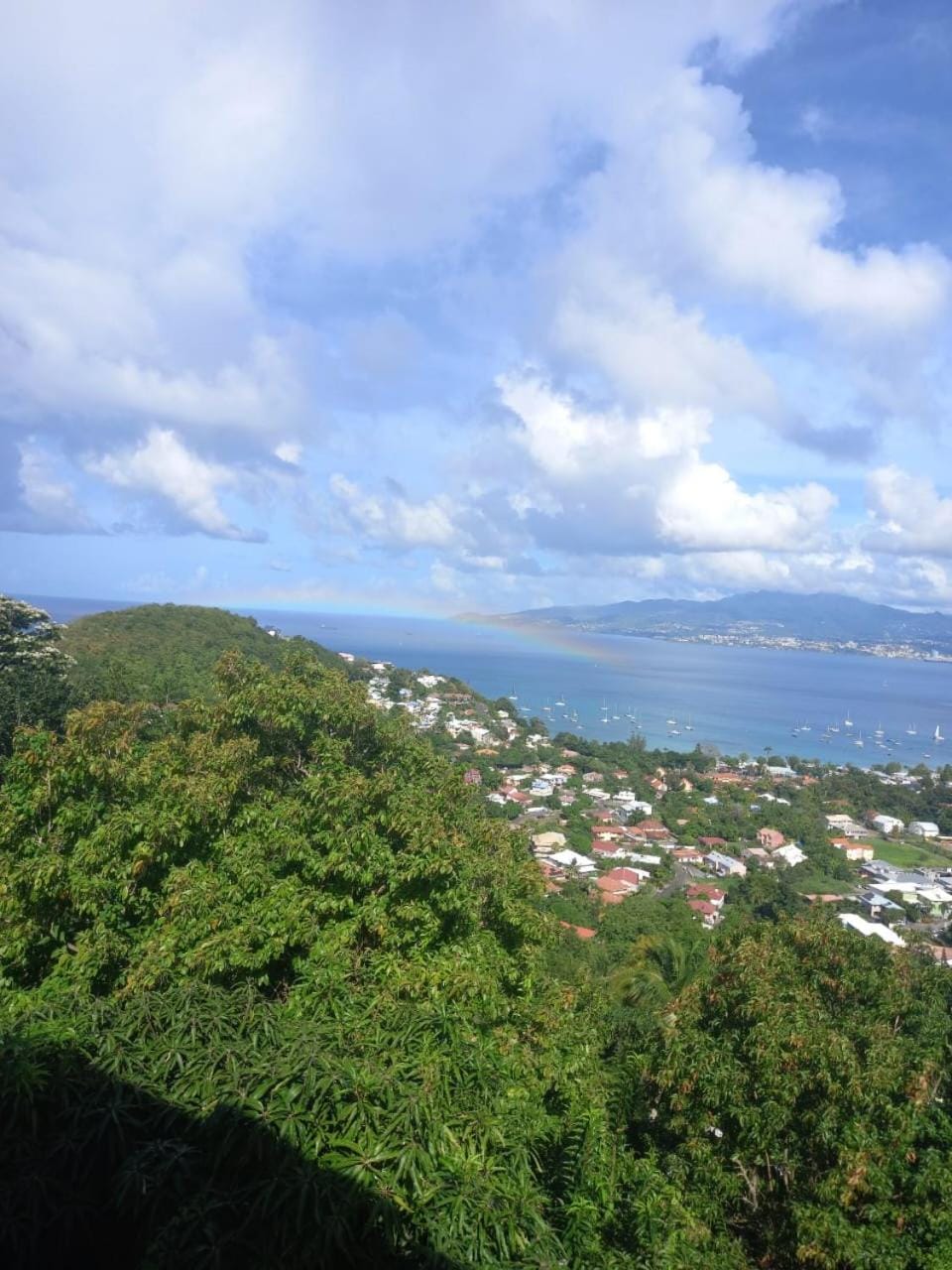 Mountain view