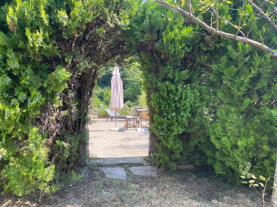 Natural landscape, Garden, Garden view