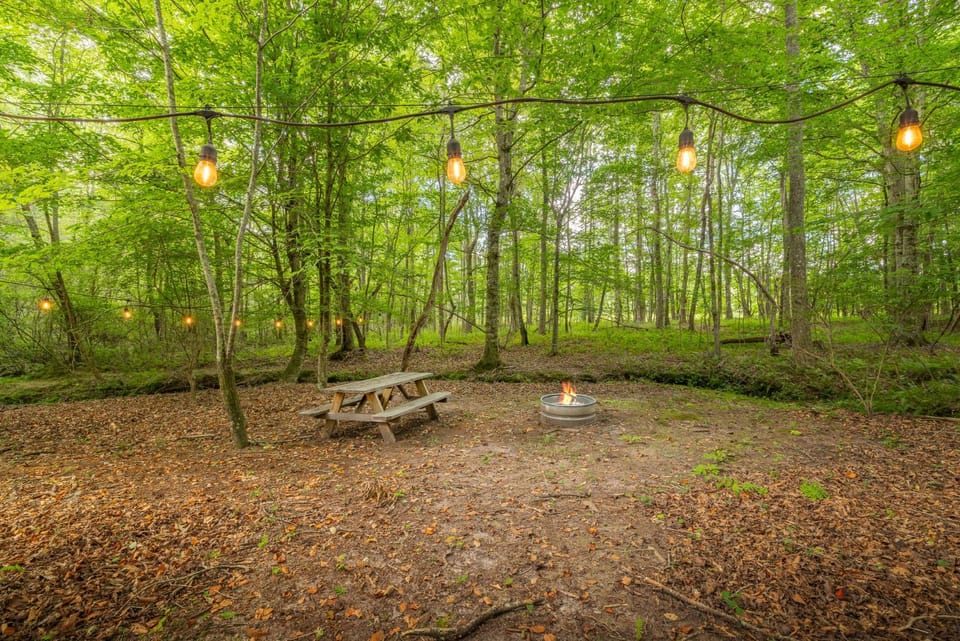 Firefly Creek in Copperhead Lodge House in Union County