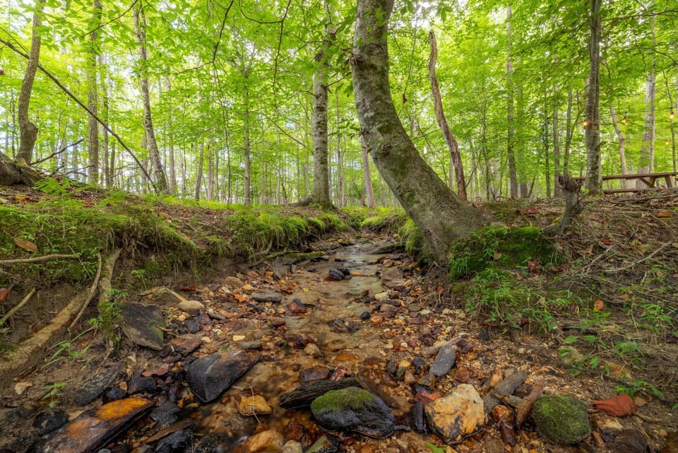 Firefly Creek in Copperhead Lodge House in Union County
