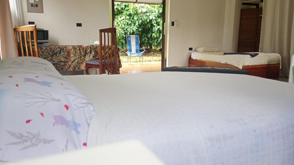 Little Home Apartment in San José Province