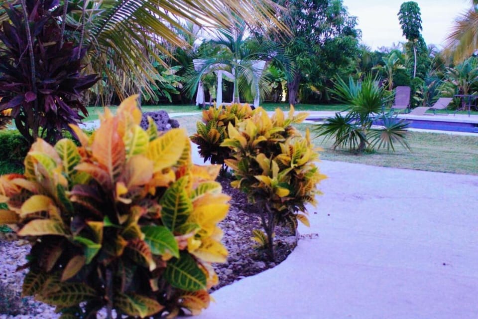 Quinta Souffle Hotel in State of Morelos