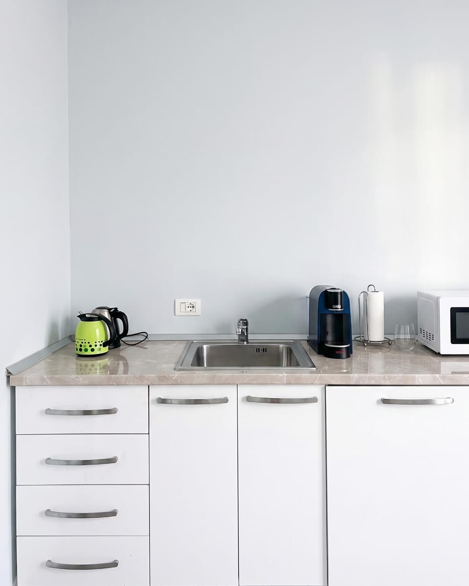 Coffee/tea facilities, Kitchen or kitchenette, minibar, stove, toaster
