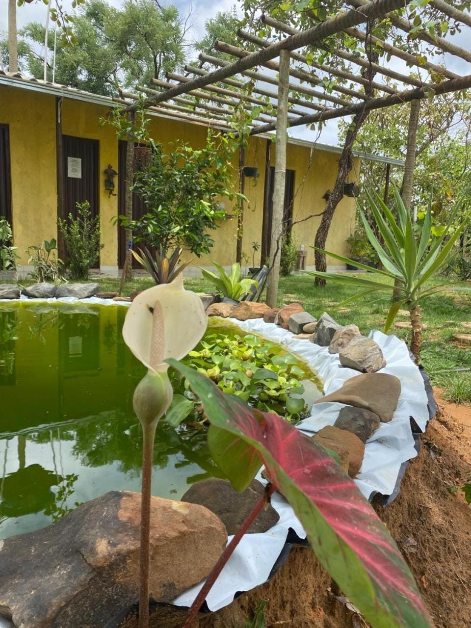COMPARTILHADO Do TERRÃO Campground/ 
RV Resort in State of Bahia
