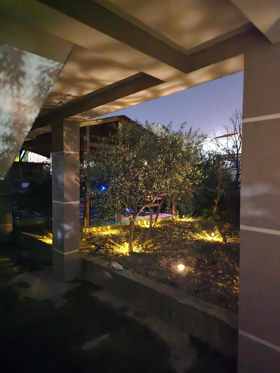 Night, Garden, Garden view