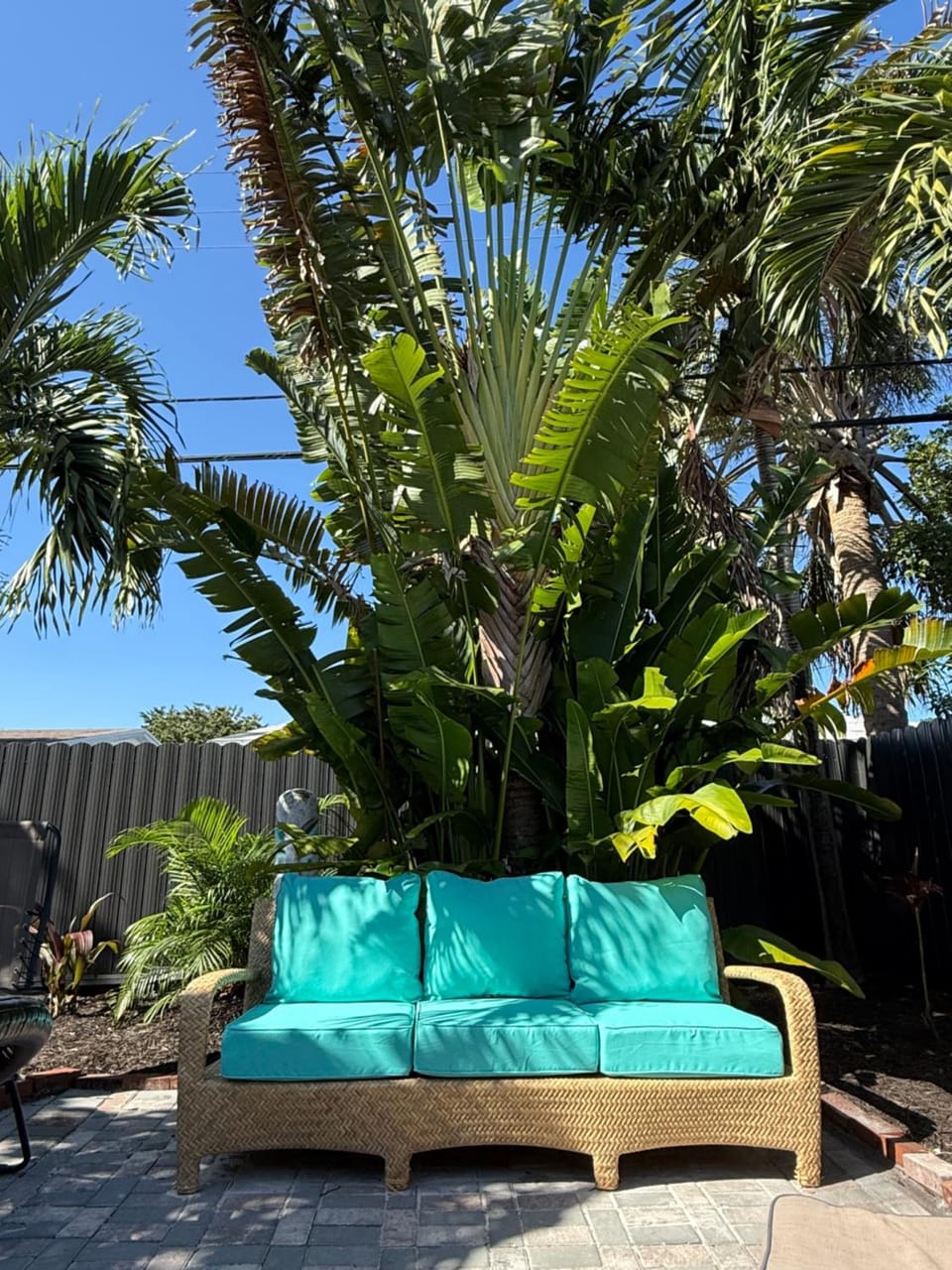 Palm Luxe Oasis w-Jacuzzi House in Oakland Park