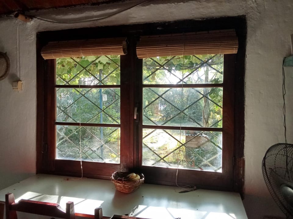 View (from property/room), Garden view