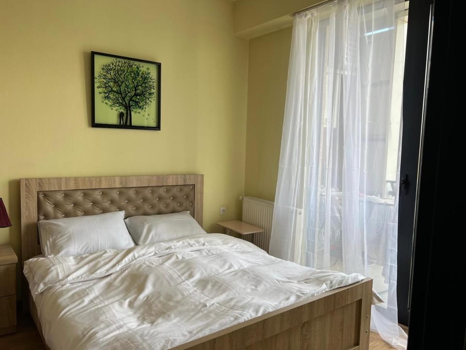Spacious two-bedroom apartment in Mziuri Park Apartment in Tbilisi, Georgia