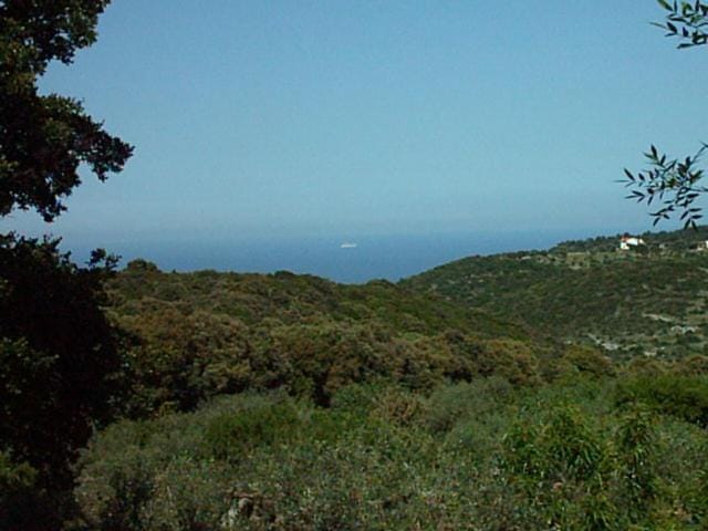 Natural landscape