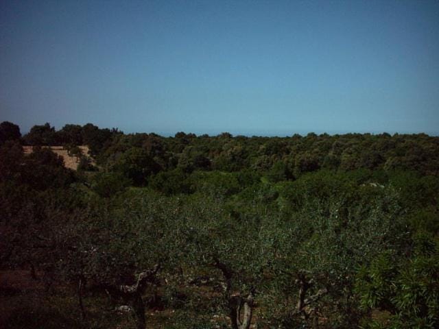Natural landscape