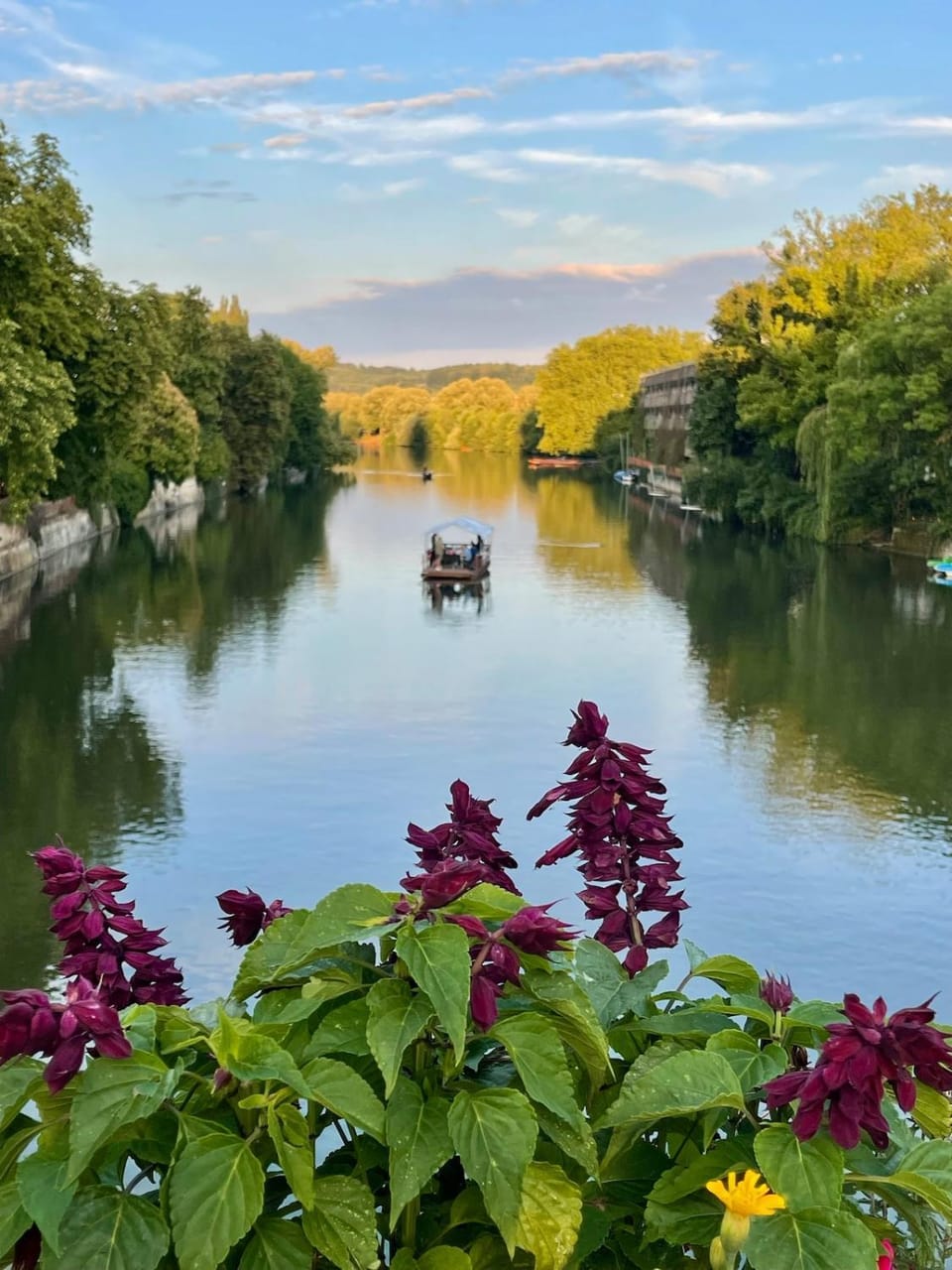 Nearby landmark, Area and facilities