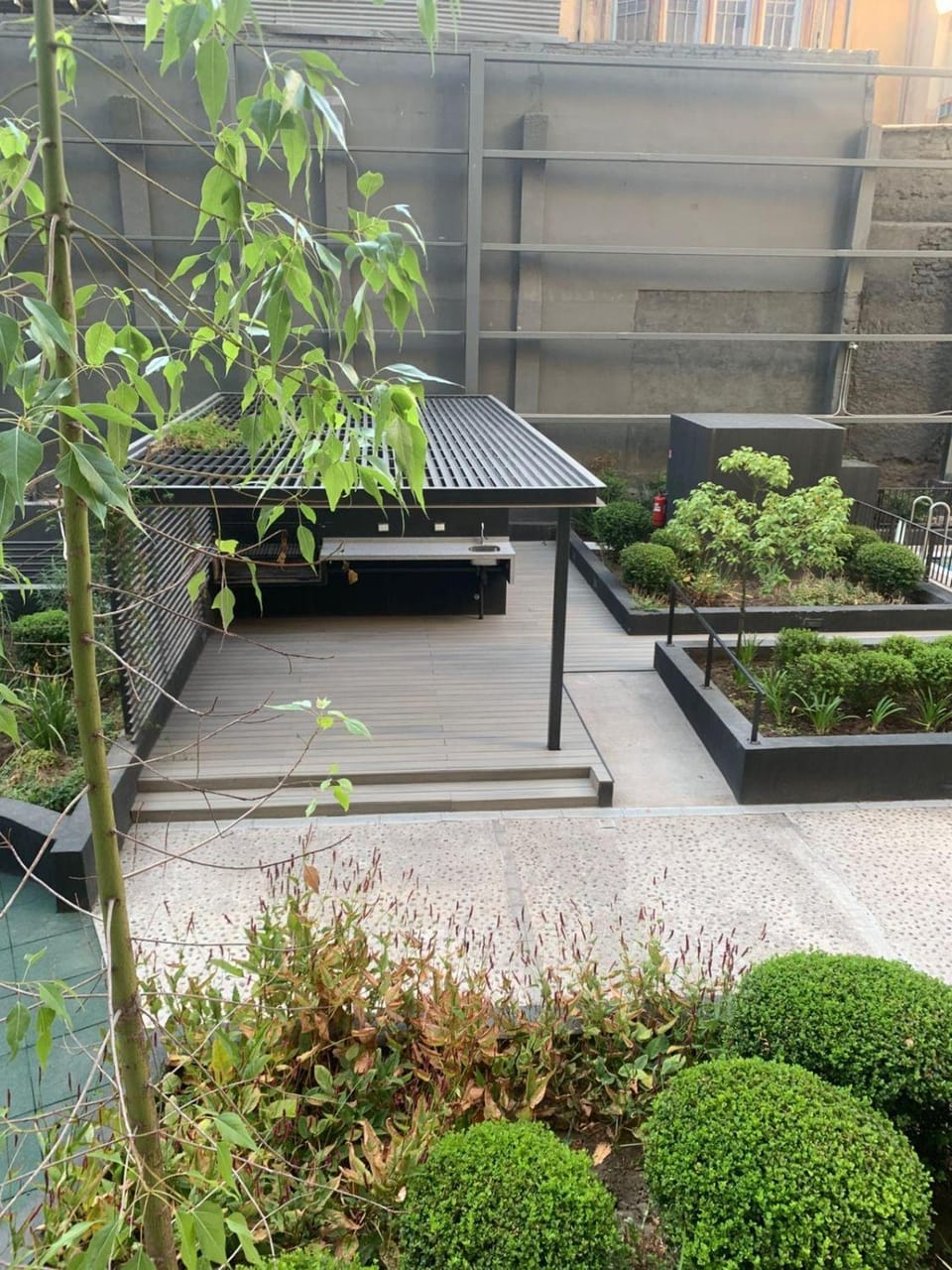 Garden view