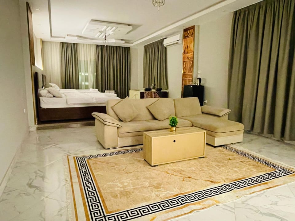 Living room, Photo of the whole room, Seating area, air conditioner
