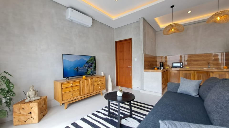 TV and multimedia, Living room, Seating area, air conditioner