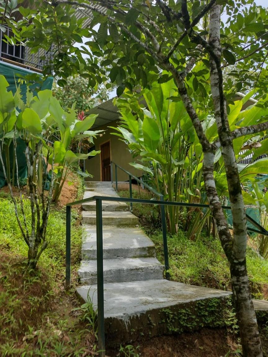 Hotel Cabinas Murillo Cabin in Puntarenas Province