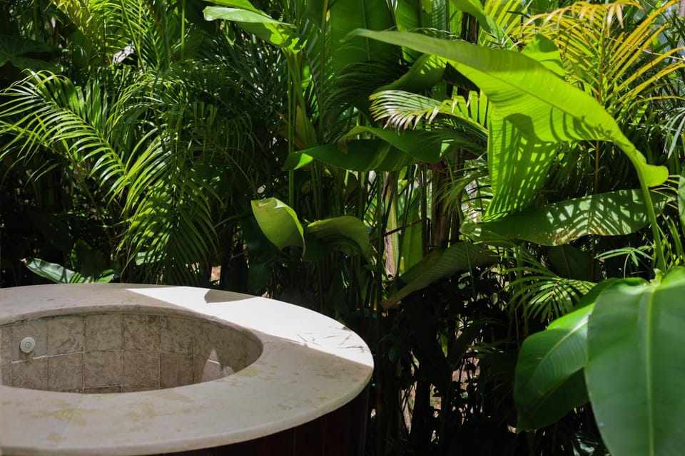 Hot Tub, Garden view