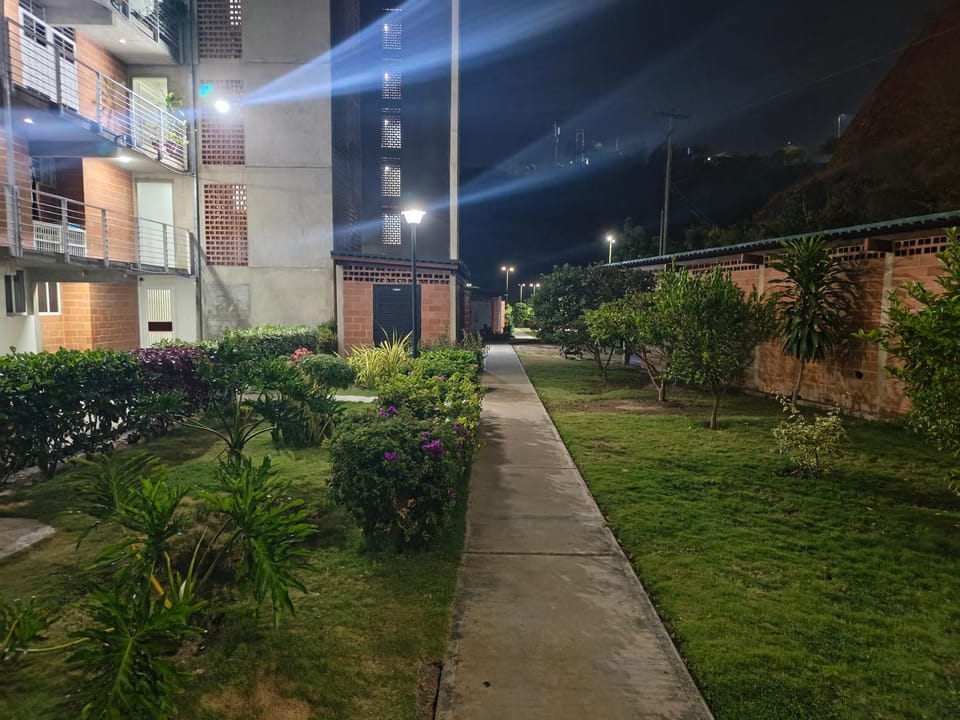 Night, Natural landscape, Garden, Garden view