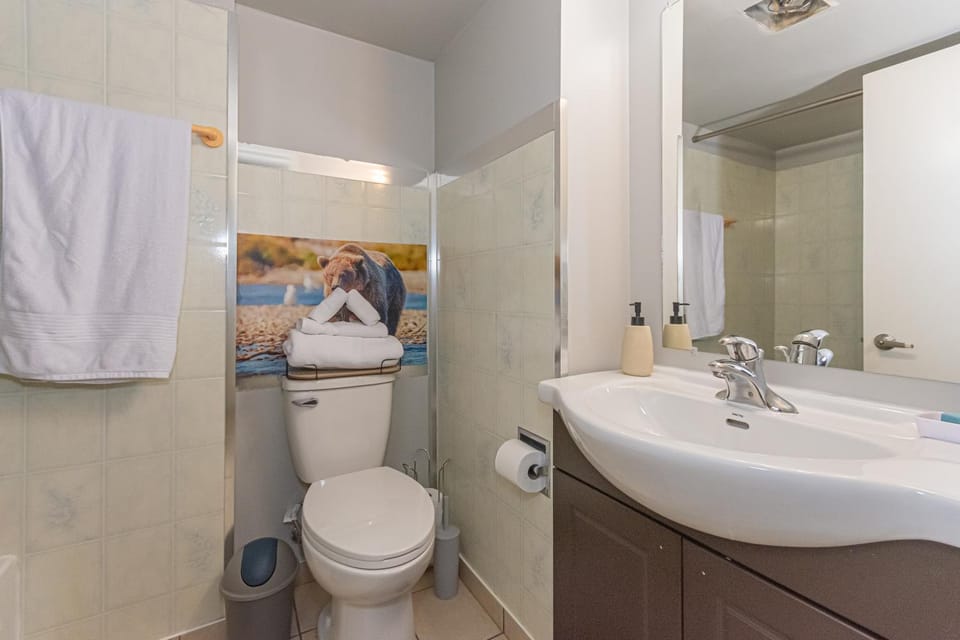 Shower, Toilet, Bathroom, Bath, towels