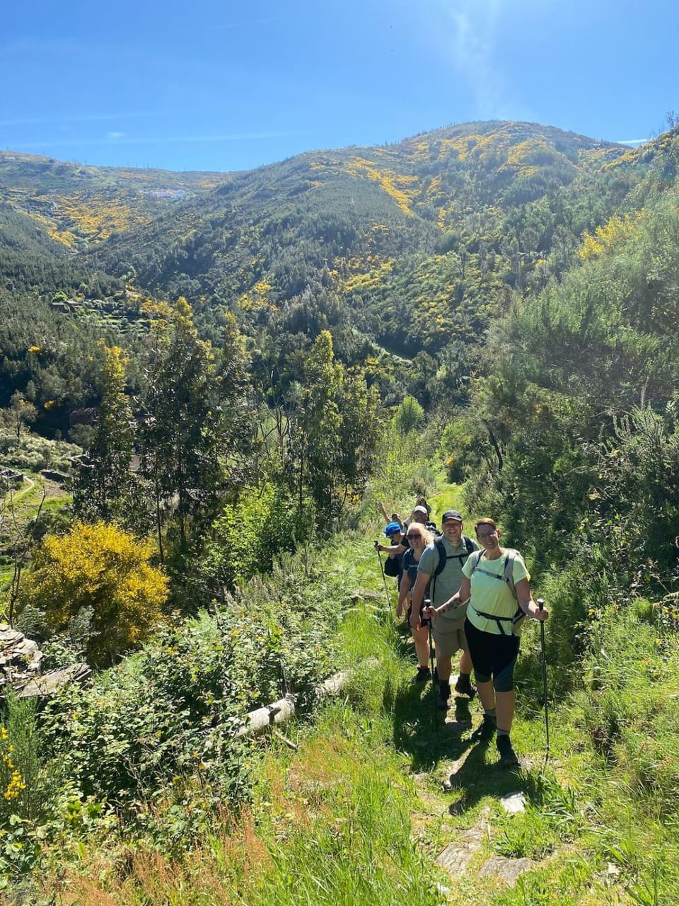 Mountain view, group of guests