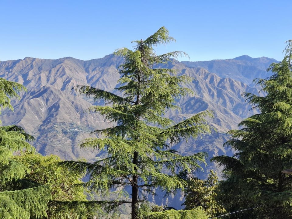 On Hills Apartment in Uttarakhand