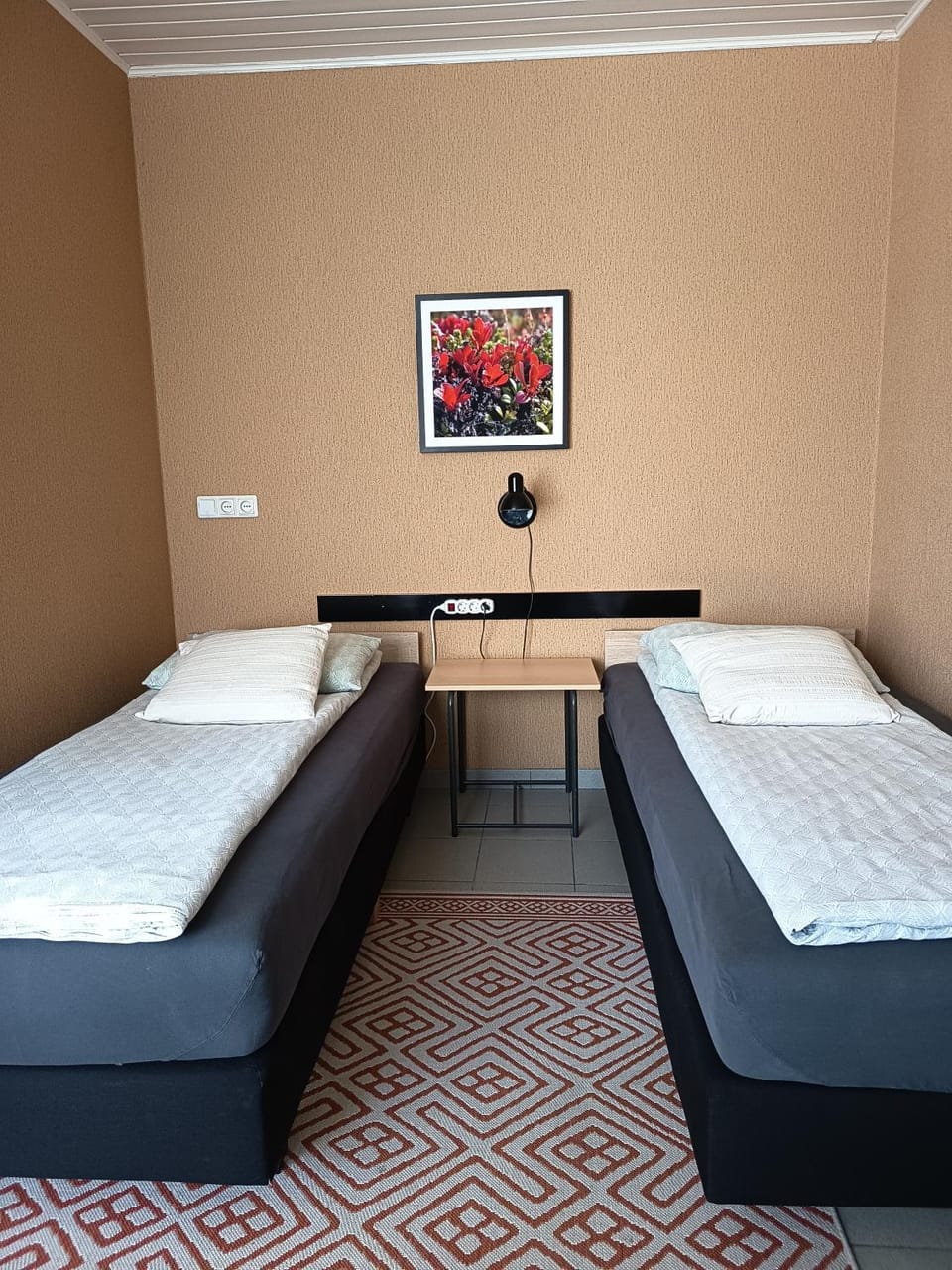 Studijos tipo butas dviems su nemokamu parkingu Apartment in Lithuania