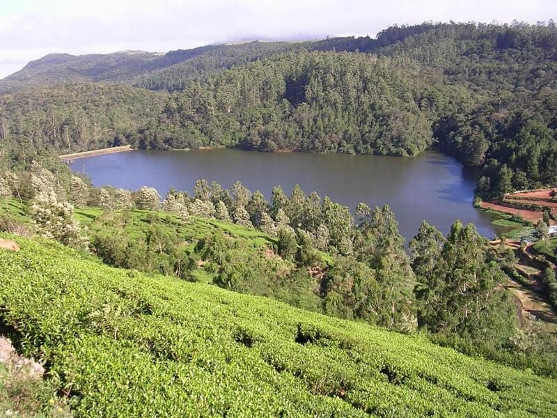 Villa Evermist Bed and Breakfast in Nuwara Eliya