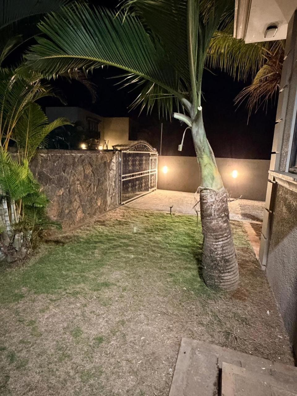 Night, Garden, Garden view
