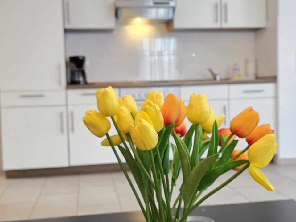 Ferienwohnung Nordwind Norddeich Apartment in Norden