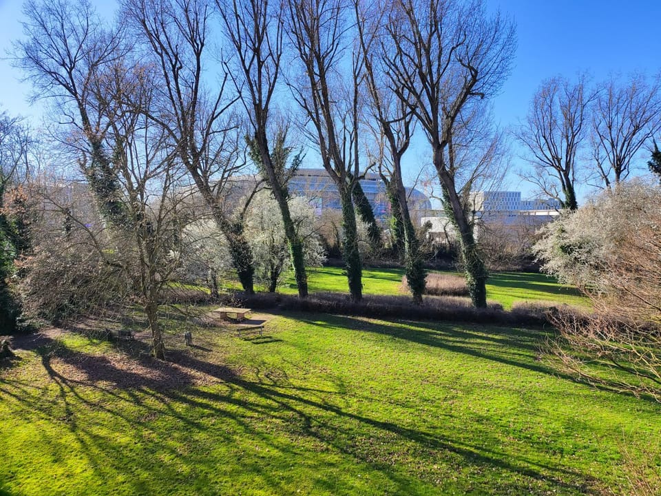 View (from property/room)