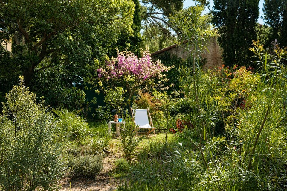 Garden, Garden, Garden view, sunbed